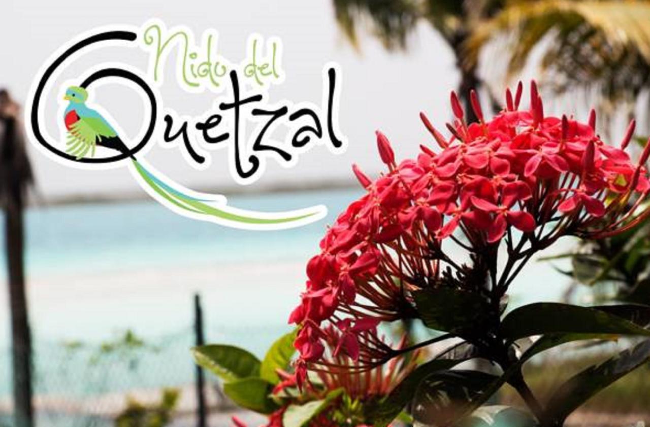 Nido Del Quetzal Hotel Bacalar Kültér fotó